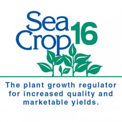 Sea Crop 16
