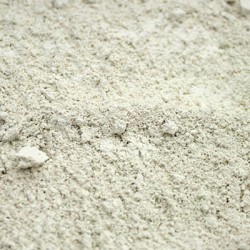 Diatomaceous Earth