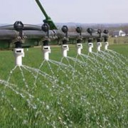 Liquid Soil & Foliar