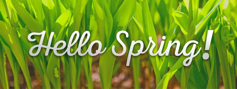 Hello-Spring